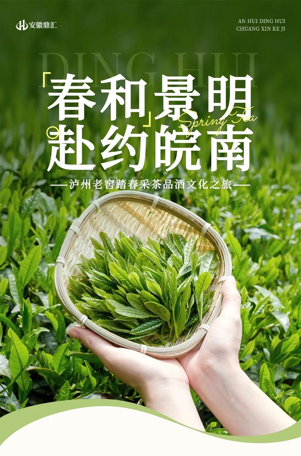 头部